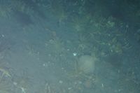 
DSC00260
